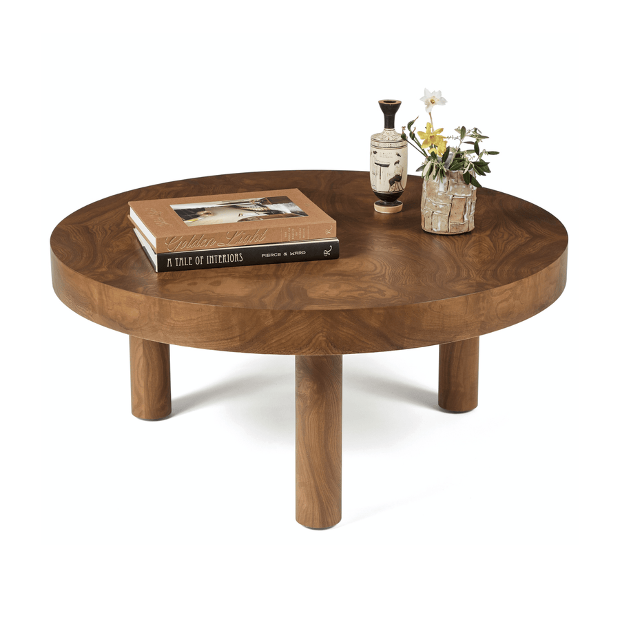 Furniture Collection styling ideas with Carlton Coffee Table in Vintage Burl Wood by August Abode