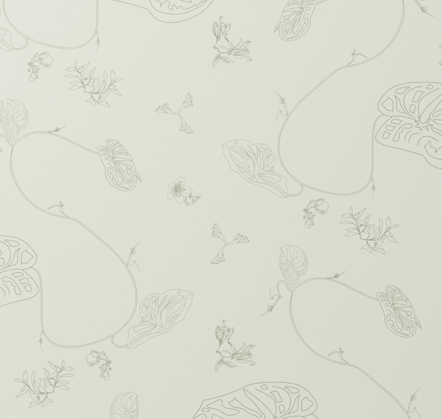 Anthurium Waltz Wallpaper in Celadon