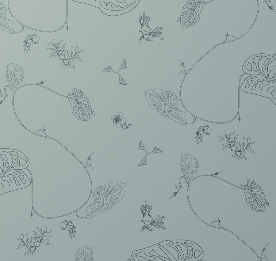 Anthurium Waltz Wallpaper in Pacific